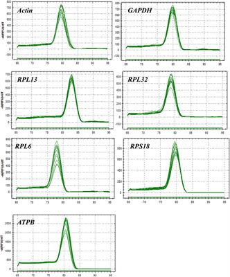 Selection and Validation of Reference Genes for RT-qPCR Analysis of the Ladybird Beetle Henosepilachna vigintioctomaculata